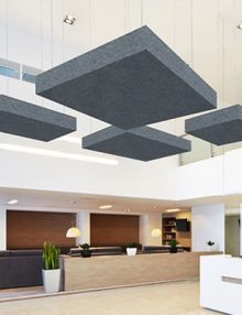 Acoustic Ceiling Treatment